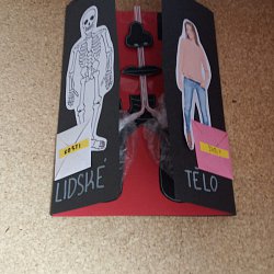 lapbook lidské tělo